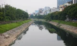 Sau thời gian ngắn ngủi chuyển màu xanh, nước sông Tô Lịch lại đen kịt, hôi thối