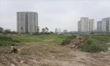 Nhiều dự án ở Hà Nội để hoang hóa nhiều năm. Ảnh: PV