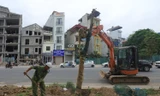 Trồng mới hàng cây xanh trên đường Huỳnh Thúc Kháng kéo dài