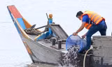 Thả hơn 1 triệu con cá giống xuống sông Hậu