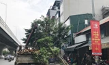 Hà Nội tiếp tục xử lý cây xanh gãy đổ
