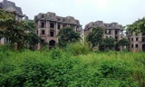 Hà Nội: Chi tiết 29 dự án bị kiến nghị thu hồi vì chậm đưa đất vào sử dụng