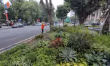 Hà Nội: Cải tạo vườn hoa Diên Hồng là 'tiếp sức lịch sử văn hoá'