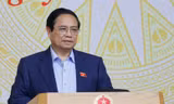 Nêu các vụ án sữa giả, thuốc giả, Thủ tướng yêu cầu làm rõ trách nhiệm tổ chức, cá nhân liên quan