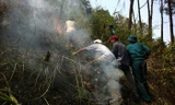 Nỗ lực dập tắt đám cháy rừng giữa trưa nóng