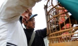 Phiên chợ chim độc đáo ở Bắc Hà