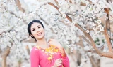 Ngọc Hân dịu dàng với áo dài họa tiết hoa đào