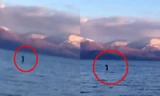 Xuất hiện sinh vật bí ẩn nghi ‘quái vật hồ Loch Ness’