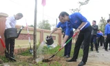 Bí thư Trung ương Đoàn Bùi Quang Huy (bìa phải) cùng trồng cây với ĐVTN Đà Nẵng. Ảnh: Thanh Trần. 