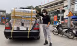 Thái Thùy Linh