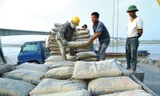 Tiêu thụ xi măng tăng mạnh cả nội địa và xuất khẩu