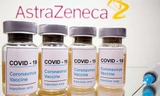 AstraZeneca là vắc - xin ngừa COVID-19 đầu tiên được phê duyệt nhập khẩu vào Việt Nam 