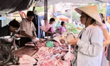 Bộ NN&PTNT đề nghị các địa phương, doanh nghiệp tăng tái đàn, vào đàn để đảm bảo nguồn cung thịt trong thời gian tới ảnh: Bình Phương