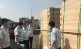 Hải quan TPHCM kiểm tra container gỗ vi phạm