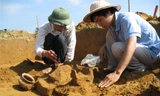 Hình ảnh khai quật Bãi Cọi lần thứ 2 vào 2009-2010 