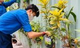 Đoàn viên, sinh viên TP. HCM hăng hái hưởng ứng Ngày cao điểm tình nguyện xây dựng đô thị văn minh
