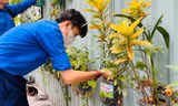 Đoàn viên, sinh viên TP. HCM hăng hái hưởng ứng Ngày cao điểm tình nguyện xây dựng đô thị văn minh