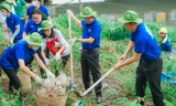 Đoàn viên, thanh niên TPHCM ra quân Chủ nhật xanh lần thứ 150