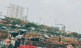 TP. HCM: Chợ hoa Xuân 'Trên bến dưới thuyền' khai mạc ngày 25 tháng Chạp