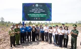 Tổng kết chương trình 'Triệu cây xanh - Vì một Việt Nam xanh' năm 2022