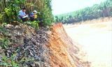 Phóng viên dùng thước dây kéo đo được ở khu vực này đất bị lấy đoạn sâu nhất hơn 8 m