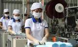 Doanh nghiệp sản xuất khẩu trang phục vụ nhu cầu xuất khẩu. Ảnh: Mạnh Thắng