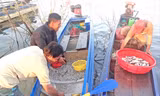 Nguồn thủy sản ở lòng hồ Thủy lợi Ia Mơr trù phú