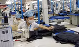 Với NLĐ tại nhiều DN, thời điểm này có việc làm và được trả đủ lương đã là may mắn. Ảnh minh họa: Phạm Thanh