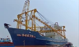 Tàu 67 của ngư dân Quảng Nam nằm bờ