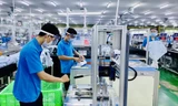 Doanh nghiệp FDI sản xuất 3 tại chỗ ở Bình Dương. Ảnh: HƯƠNG CHI