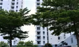 Bệnh viện dã chiến số 10 (TP Thủ Đức) được chọn làm nơi điều trị cho các Tăng, Ni