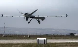 Máy bay trinh sát MQ-9 Reaper của Hà Lan tiếp tục tuần tra sườn phía Đông NATO