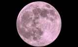 Ngắm “Trăng Hồng” trên bầu trời Bắc Mỹ 