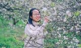 Mê mẩn mùa hoa mận nở trắng trời Mộc Châu