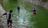 Nước sông Tô Lịch đổi màu xanh ngắt, người dân đội mưa bắt cả tạ cá