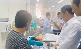 Công an vào cuộc điều tra vụ cây đổ đè 13 học sinh