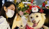 Người dân TPHCM rộn ràng đi chơi Noel sớm