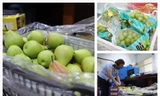 Hoa quả nhập khẩu không giấy tờ bị kiểm tra, xử lý