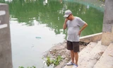 Nguyên nhân cá chết nhiều ở hồ Tây vào đêm và rạng sáng