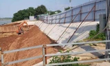 Mặt đê Hữu Hồng bị lún nứt do ảnh hưởng thi công