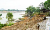 Vĩnh Phúc tính phương án di dời dân khu sạt lở bờ sông Lô