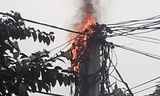 Cột điện bốc cháy ngùn ngụt, cả khu phố nín thở