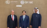 Thủ tướng Phạm Minh Chính dự lễ khai mạc COP28 tại Dubai, UAE