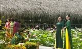 Đầm sen nở sớm ở Khánh Hòa, hàng trăm 'nàng thơ' xúng xính áo dài chụp ảnh