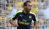 Santi Cazorla ăn mừng bàn mở tỷ số cho Arsenal ở trận đấu với Watford.
