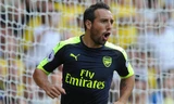 Santi Cazorla ăn mừng bàn mở tỷ số cho Arsenal ở trận đấu với Watford.