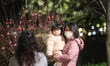 Người dân đến Hồ Gươm đón giao thừa