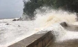 Quỳnh Lưu có nguy cơ vỡ đê biển trong bão số 10