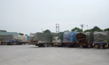 'Dàn trận' bắt đoàn 21 xe quá tải chở gỗ từ Lào về Việt Nam