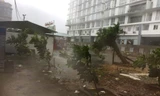 VIDEO: Thông tin mới nhất về cơn bão số 9 quét qua Vũng Tàu